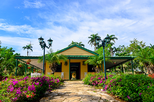 Safari en jeep Jeep Safari by Non