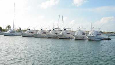 Marine Adventure Marine Adventure