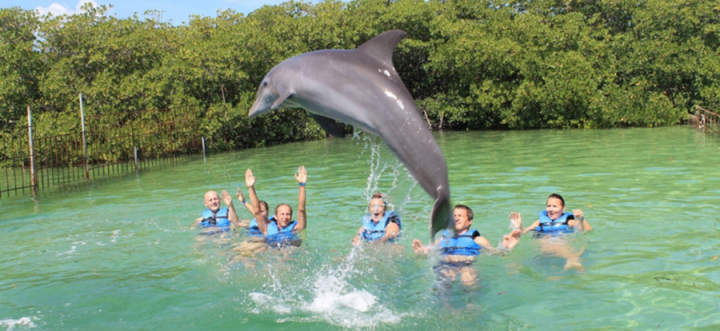 Sun Cruise From Varadero Sun Cruise From Varadero