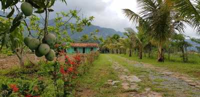 Casa Finca Media Luna Casa Finca Media Luna