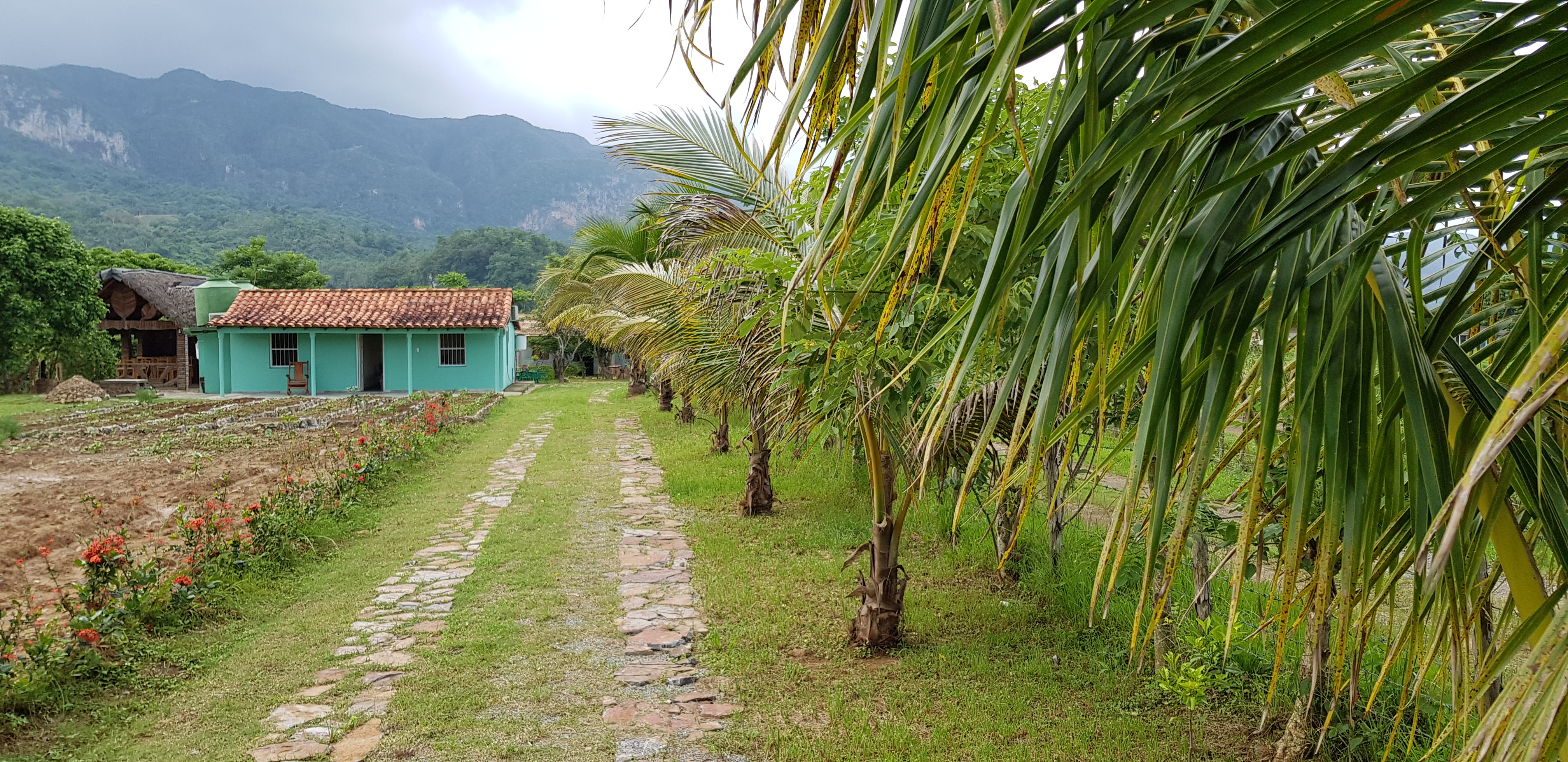Casa Finca Media Luna Casa Finca Media Luna