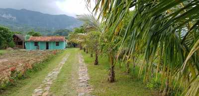 Casa Finca Media Luna Casa Finca Media Luna