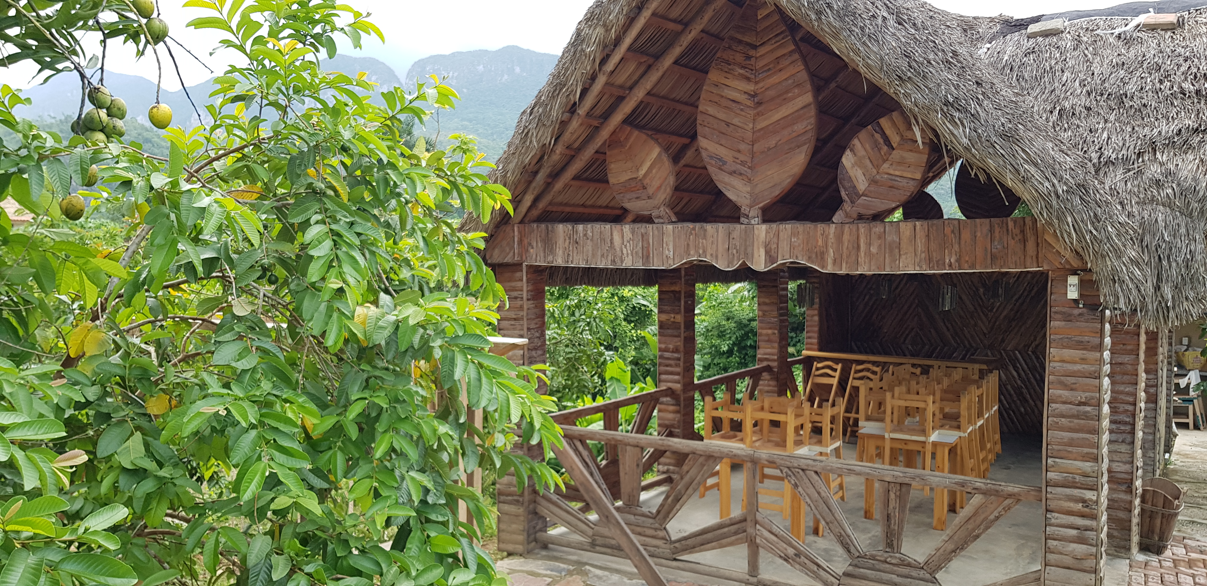 Casa Finca Media Luna Casa Finca Media Luna