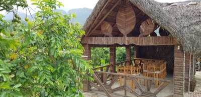 Casa Finca Media Luna Casa Finca Media Luna