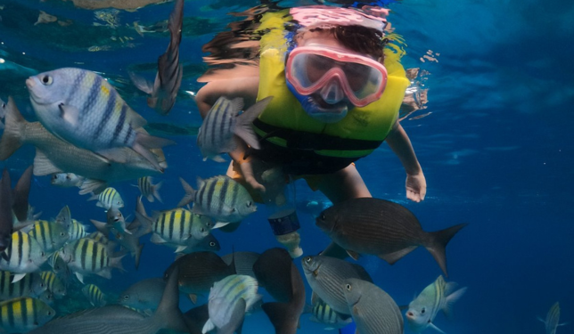 Matanzas Yumuri Plus MATANZAS YUMURÍ PLUS