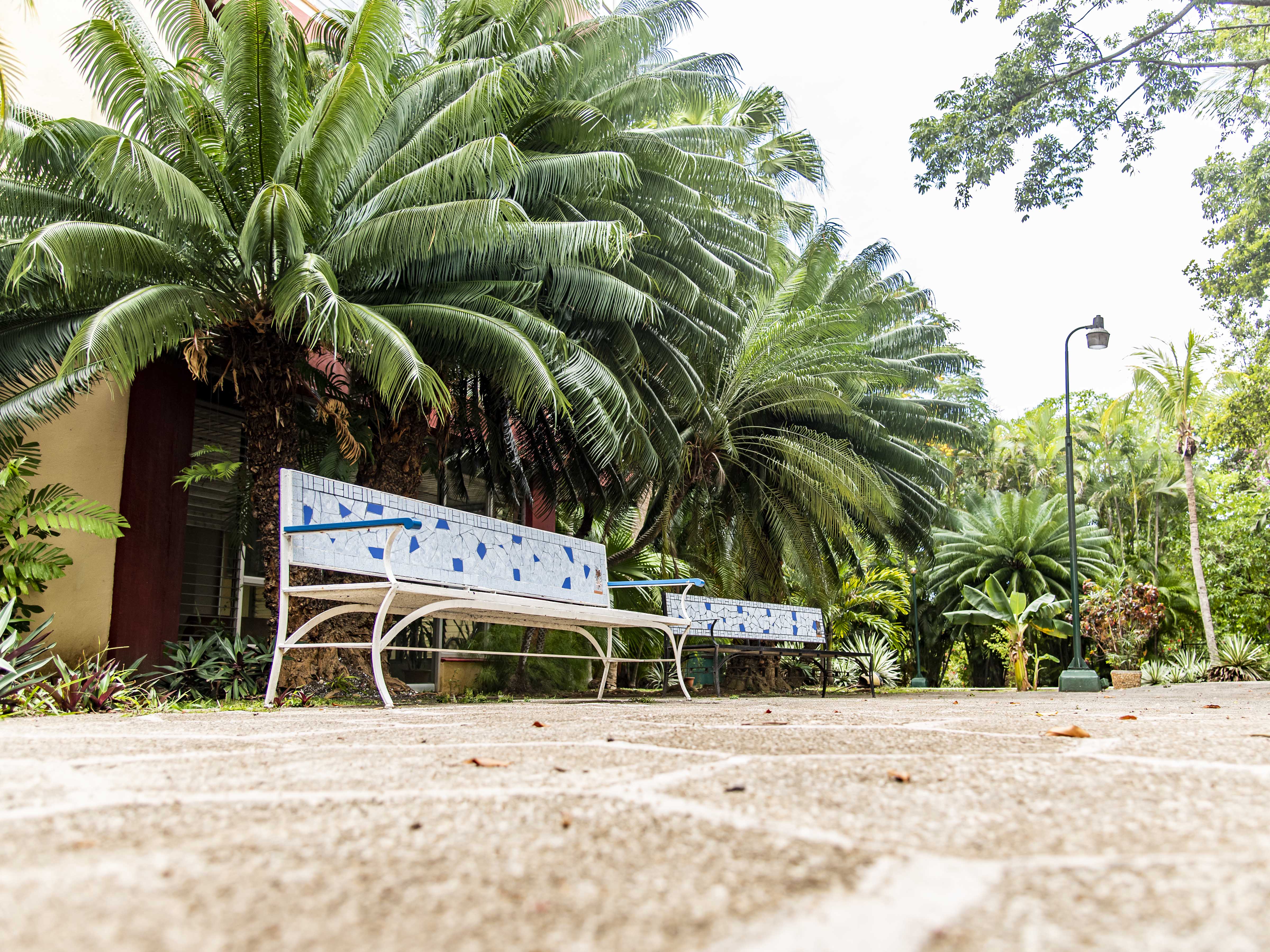 Bello Caribe - Single Room Bello Caribe - Single
