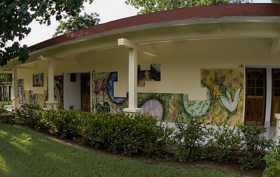 Islazul El Bosque - Single Room El Bosque - Single by Nein