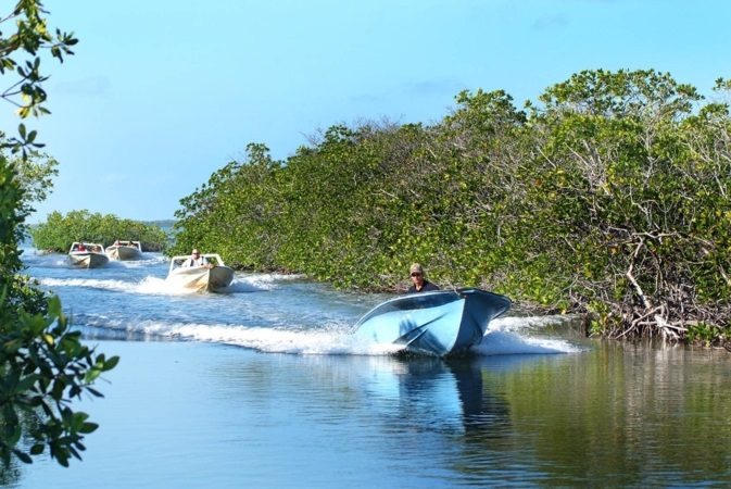Sugar, Tobacco and Rum - Jardines del Rey Cuba, sugar, tobacco and rum by Nein