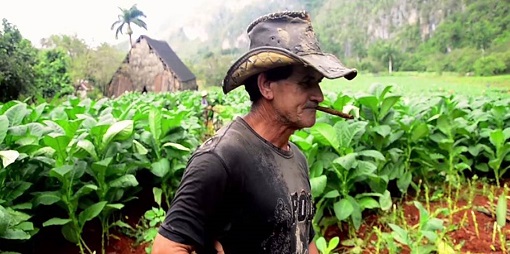 Campagne cubaine Cuban countryside by Non