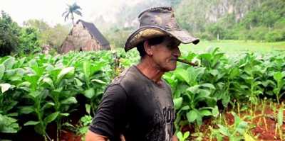 Campagne cubaine Cuban countryside by Non
