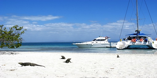 Cayo Blanco (Marina Marlín) 
