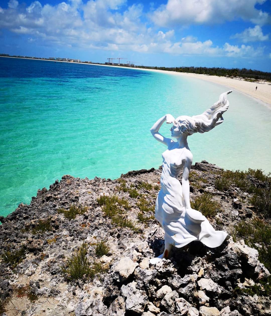 Marine Adventure Marine Adventure