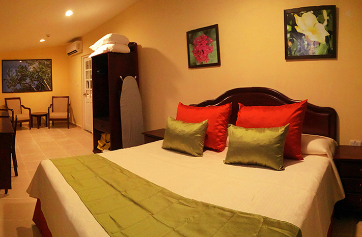 Mystique Viñales Central - Habitación Doble Central Viñales - Doble