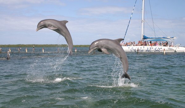 Sun Cruise from Havana Sun Cruise from Havana by Nein