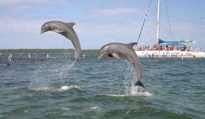 Sun Cruise from Havana Sun Cruise from Havana by Nein