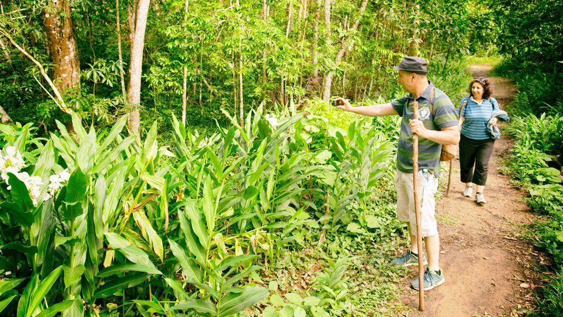 Transfer ab Pinar del Rio nach Viñales Beyond the thorns by Nein