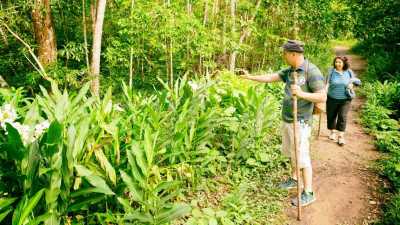 Transfer ab Pinar del Rio nach Viñales Beyond the thorns by Nein