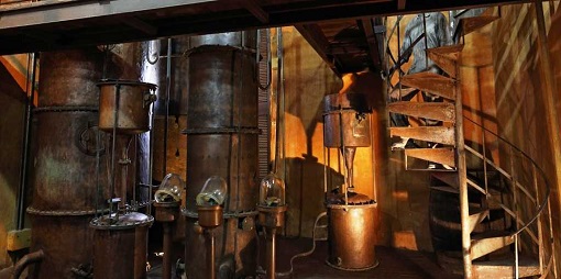 Zigarrenfabrik in Havanna Visit to Havana - Lunch Included by Nein