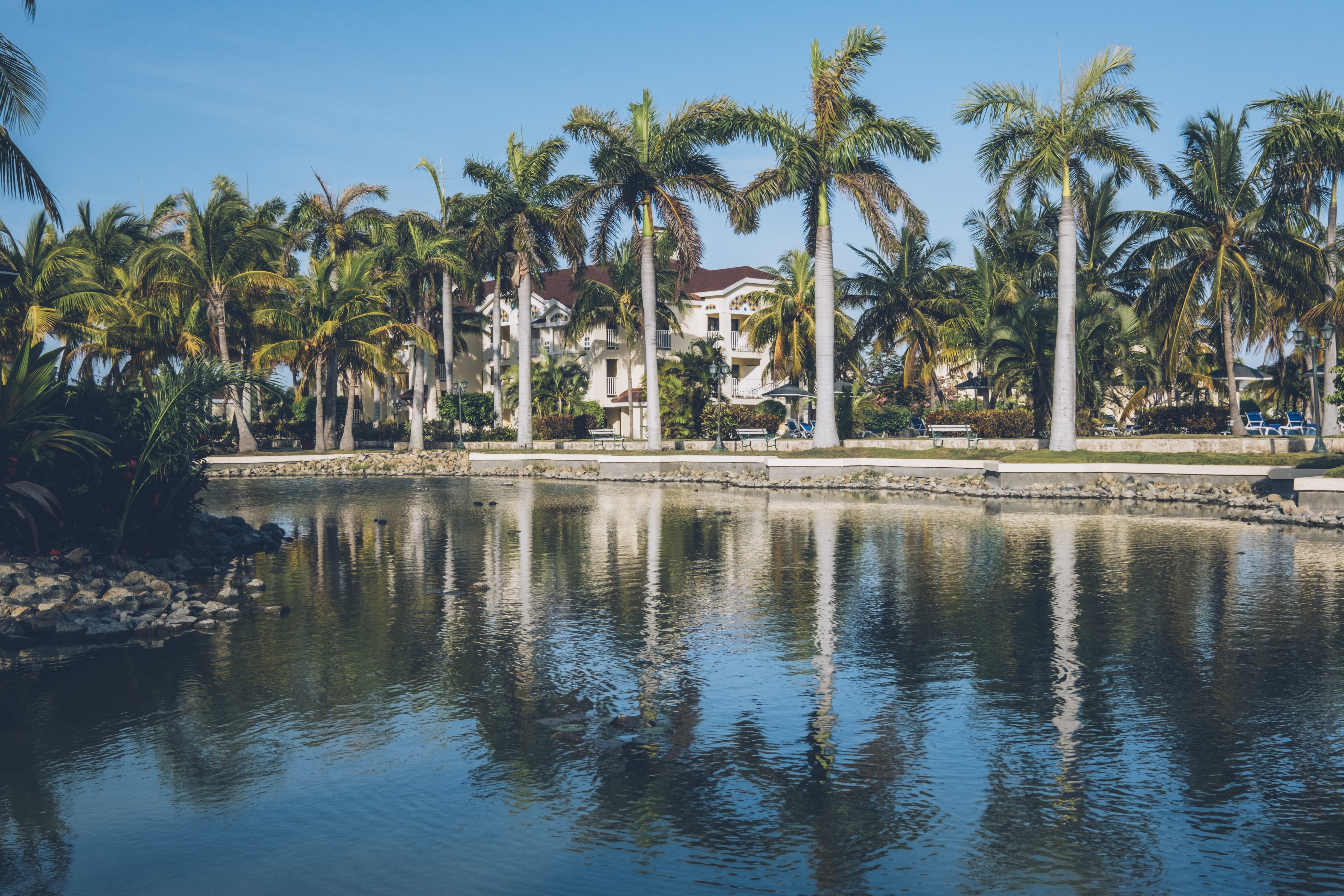 Iberostar Origin Playa Alameda - Double Room - All Inclusive Iberostar Origin Playa Alameda - Doble by No