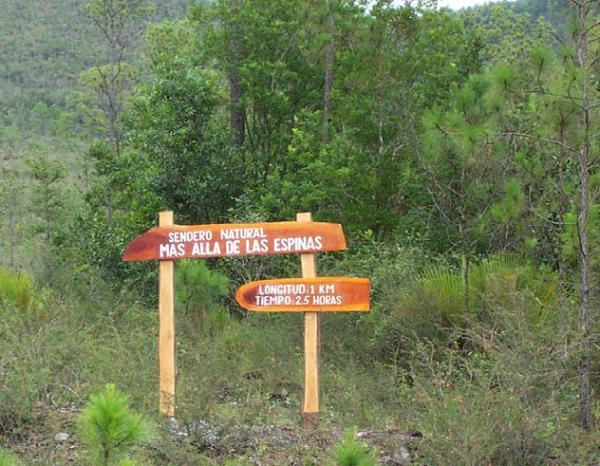 Transfer ab Pinar del Rio nach Viñales Beyond the thorns by Nein