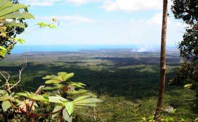 Transfer ab Pinar del Rio nach Viñales Beyond the thorns by Nein