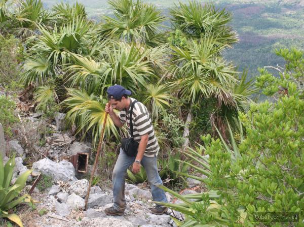 Transfer ab Pinar del Rio nach Viñales Beyond the thorns by Nein