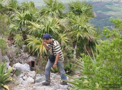 Transfer ab Pinar del Rio nach Viñales Beyond the thorns by Nein