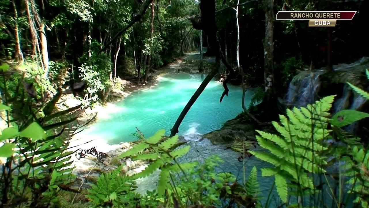 Safari en jeep Jeep Safari by Non