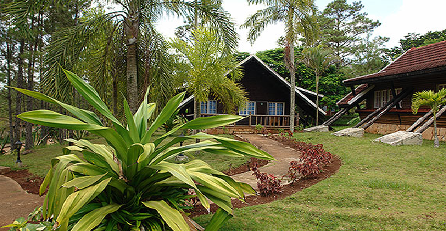 Pinares de Mayarí - Habitación Sencilla Pinares de Mayari - Single by No