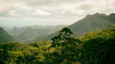 Nicho, Cienfuegos y Trinidad Nicho, Cienfuegos and Trinidad