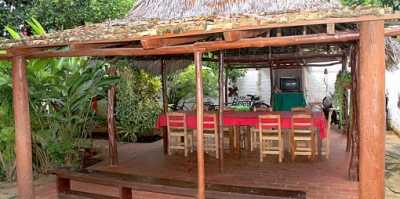 Balade à cheval à la cascade Horseback riding to the waterfall - MyJ by Non