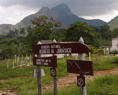 Transfer ab Pinar del Rio nach Viñales Return to the Jurassic by Nein
