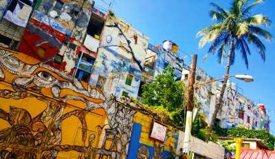 Cuban roots Cuban roots