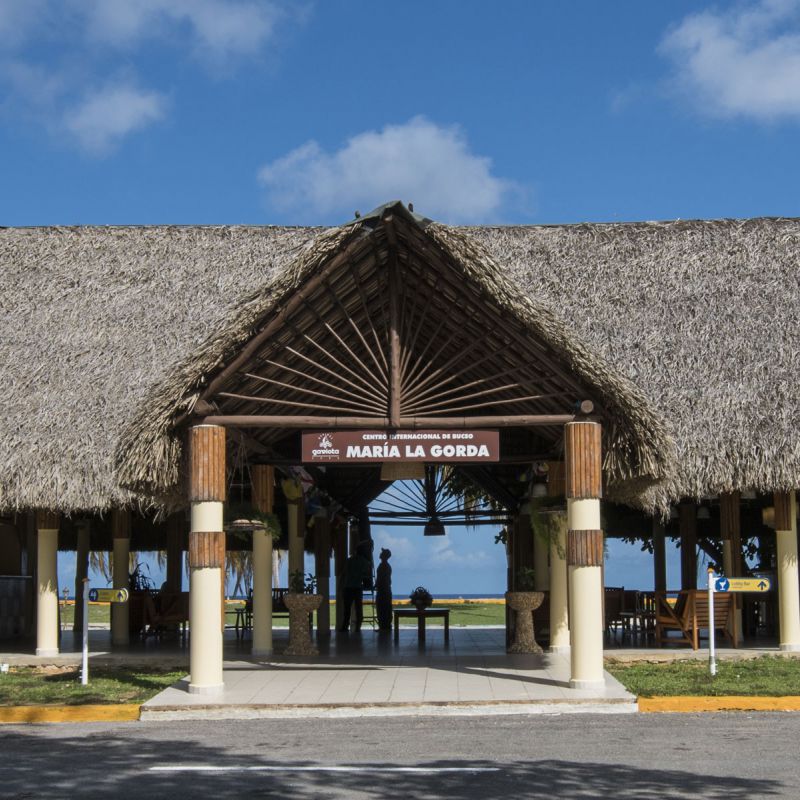 Round trip transfer to Maria La Gorda   Round trip transfer to Maria La Gorda  