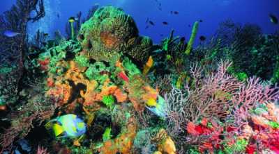 Round trip transfer to Maria La Gorda   Round trip transfer to Maria La Gorda  