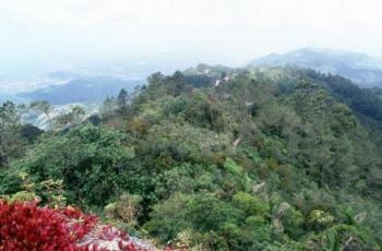 Santo Domingo - Habitación Sencilla Santo Domingo - Single by No