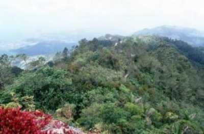 Santo Domingo - Habitación Sencilla Santo Domingo - Single by No