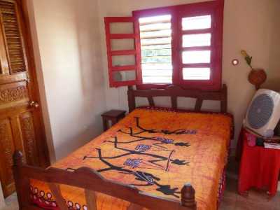 Tulipan - Habitación Sencilla Tulipan - Single by No