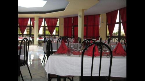 Tulipan - Habitación Sencilla Tulipan - Single by No