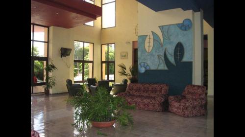 Tulipan - Habitación Sencilla Tulipan - Single by No