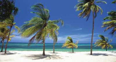 Gran Caribe Palma Real - Camera Tripla Palma Real - Triple by No