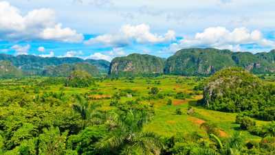 Transfer ab Hotels in Havanna nach Pinar del Rio und Viñales to Pinar del Rio and Vinales by Nein