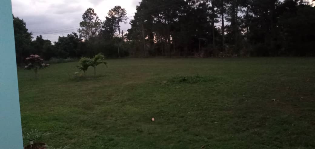 Villa Celorio Villa Celorio