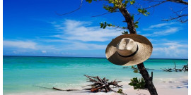 Tour privé au Cayo Jutias - Déjeuner inclus Private tour to Cayo Jutias - Lunch included