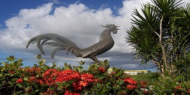 Ciego Espectacular – Full-Day Spectacular Ciego