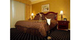 Tryp Habana Libre - Single Room Tryp Habana Libre - Single Room