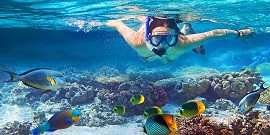 Marine Adventure Marine Adventure