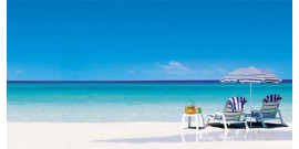 Trasferimenti dagli alberghi di L'Avana per Cayo Coco e Cayo Guillermo Transfer from Havana hotels to Cayo Guillermo