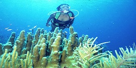 Seatour - Jardines del Rey Seatour - Jardines del Rey