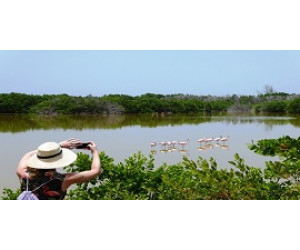 Mini Jeep Adventure – Half-Day Jeep Safari (Jardines del Rey)